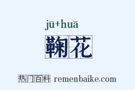 鞠花是什么意思的图片